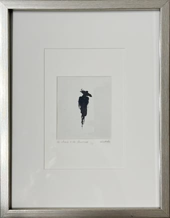 la vénus à la fourrure / wenus w futrze
