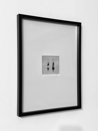 la vénus à la fourrure / wenus w futrze
