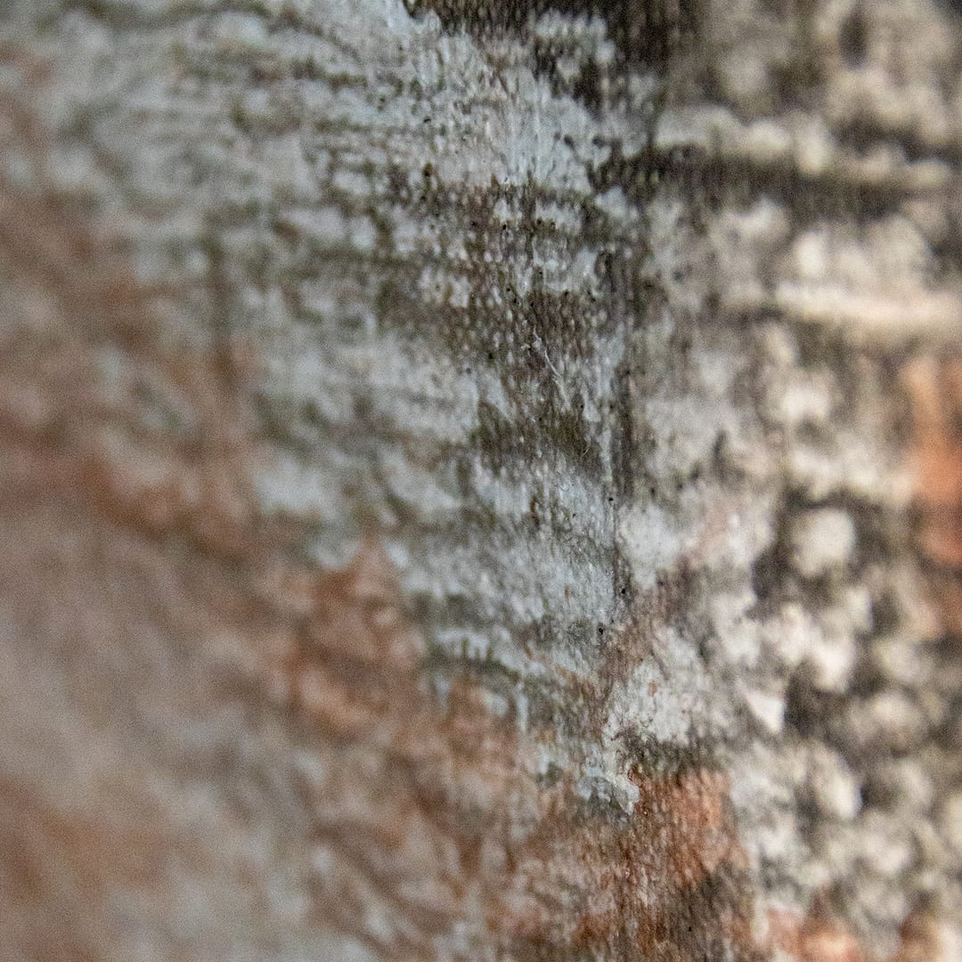 Echoes of Stillness – Weronika Dyląg, akryl, 2024