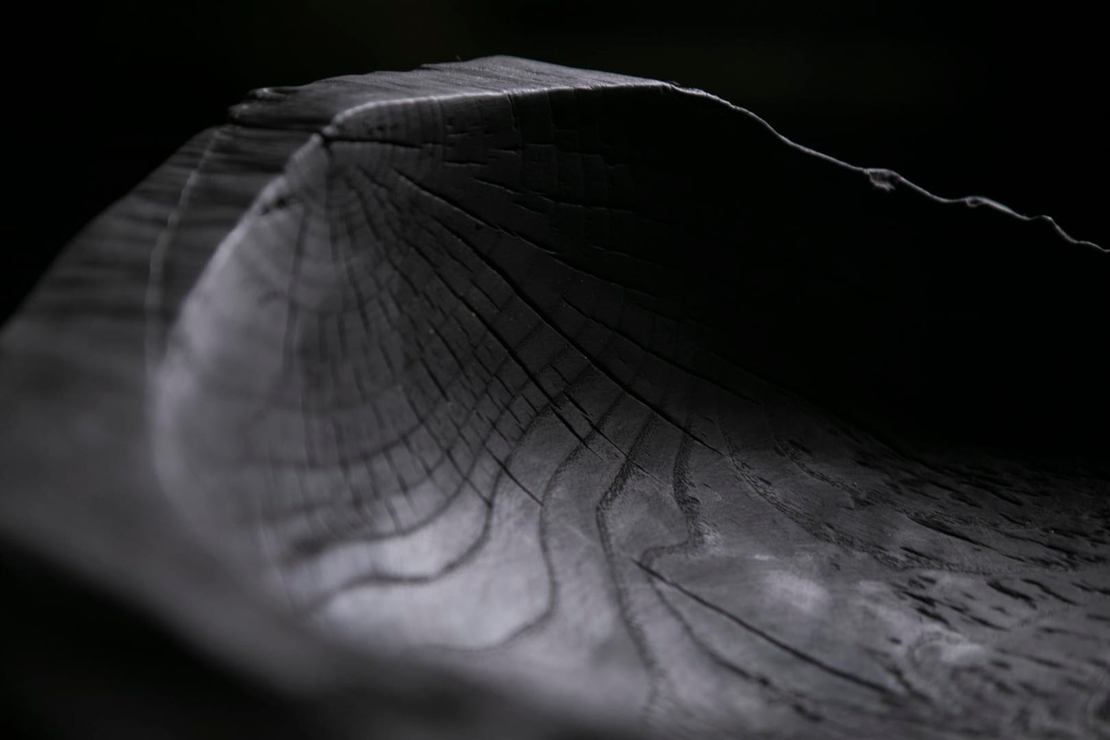 Raven Black Titanic Fossil A08R33 – Scar & Wonder, rzeźba, sztuka użytkowa, technika własna, 2025