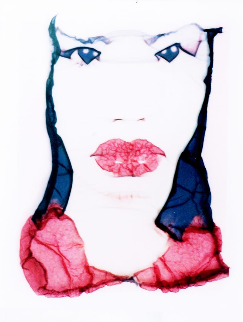 Facelift – Analogy, fotografia, 2000