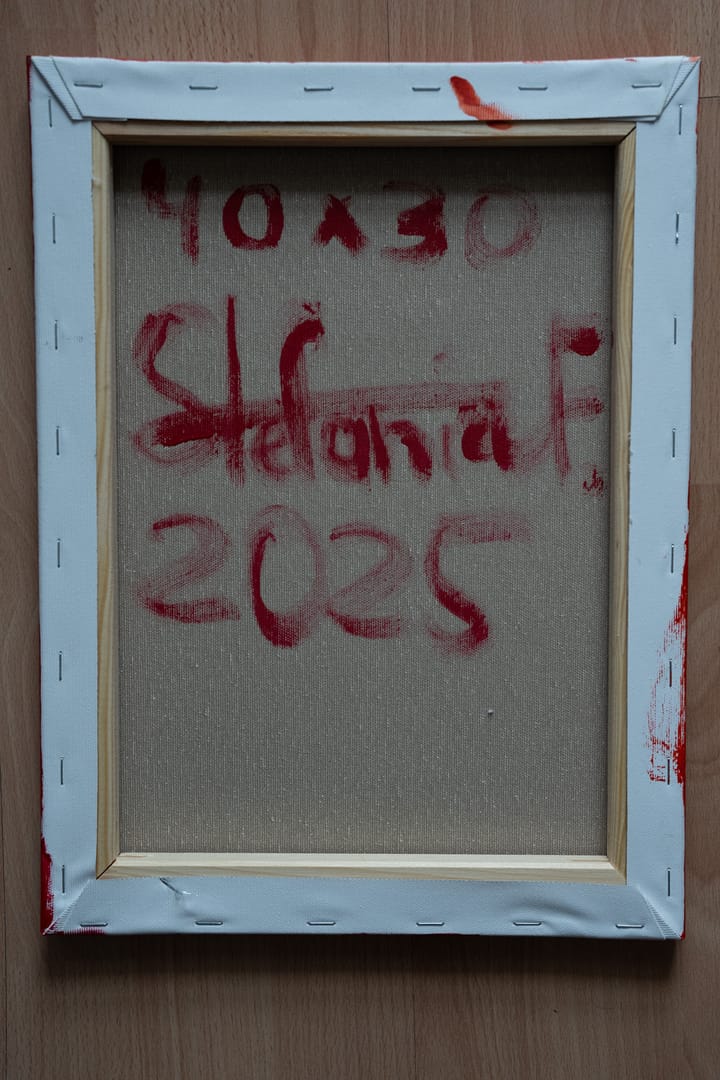 Shield – Stefania Fiedler, akryl, 2025