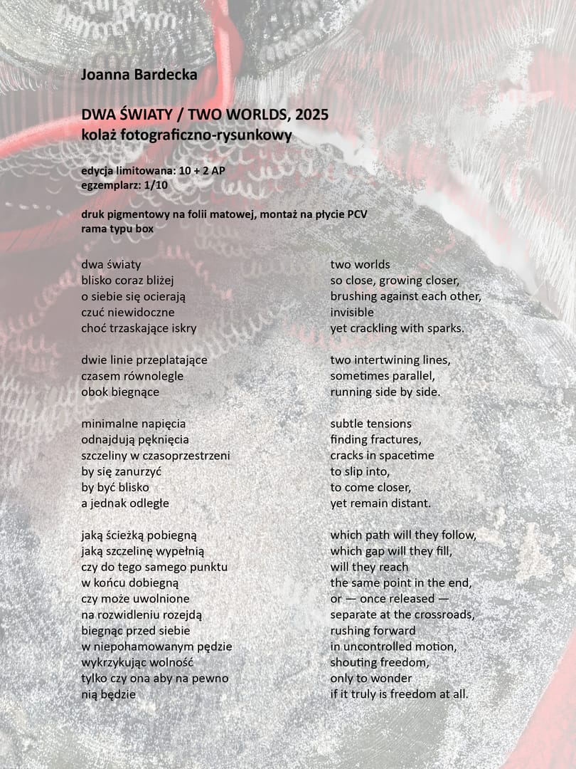DWA ŚWIATY – Joanna Bardecka, technika mieszana, kolaż, 2025