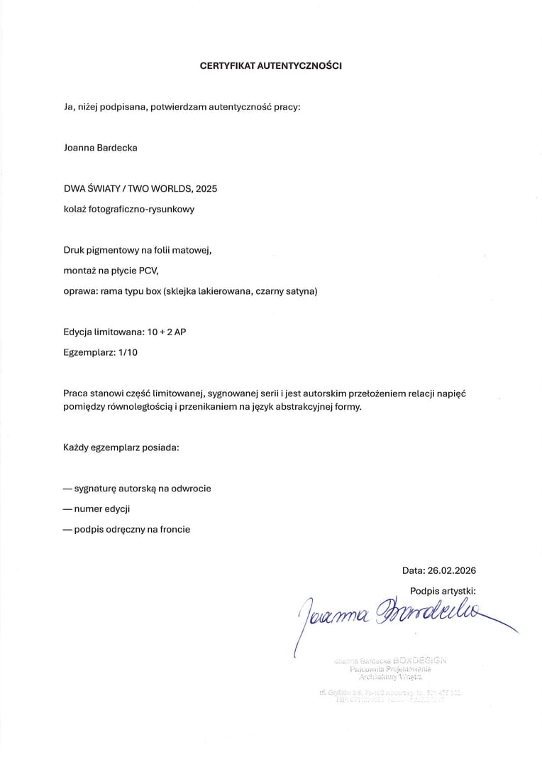 DWA ŚWIATY – Joanna Bardecka, technika mieszana, kolaż, 2025