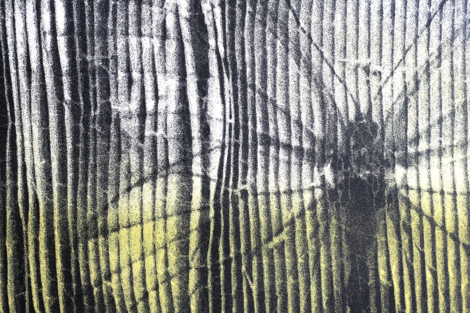 Papilio Radiator – Bartek Stypka, kolaż, graffiti, technika mieszana, technika własna, 2026