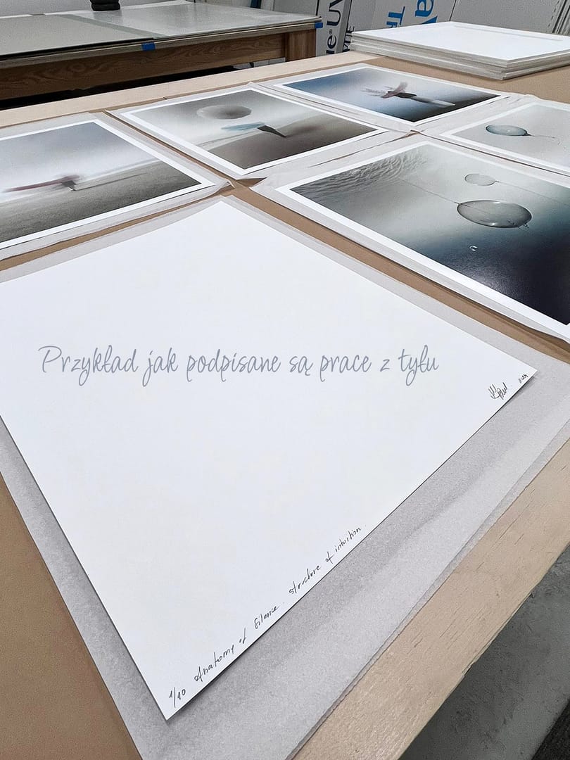 Anatomia ciszy °44 – Monika Poul, sztuka cyfrowa, technika mieszana, technika własna, fotografia, 2024
