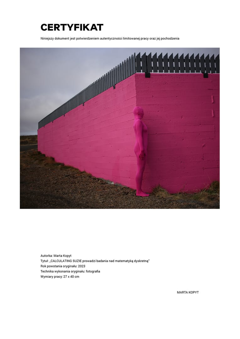 CALCULATING SUZIE prowadzi badania nad matematyką dyskretną – Marta Kopyt, fotografia, 2023