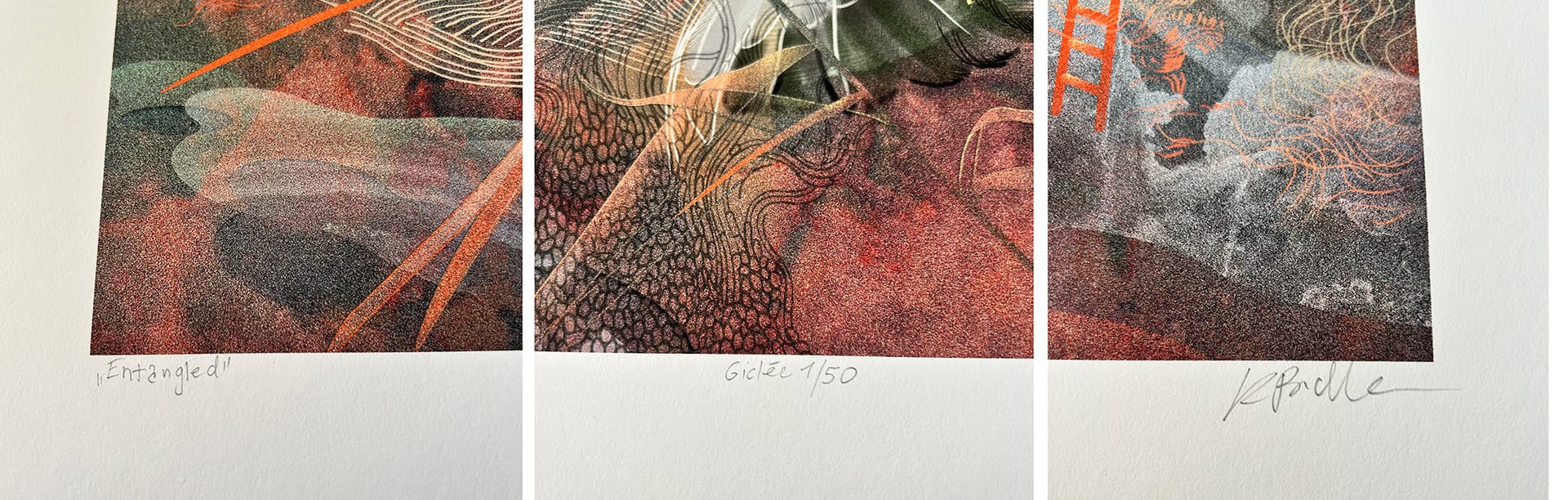 Entangled – Katarzyna Budka, giclee, 2026