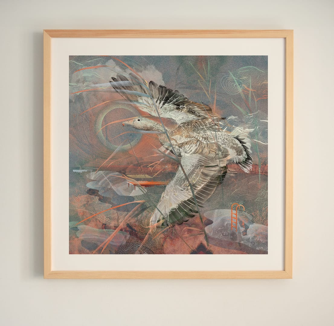 Entangled – Katarzyna Budka, giclee, 2026