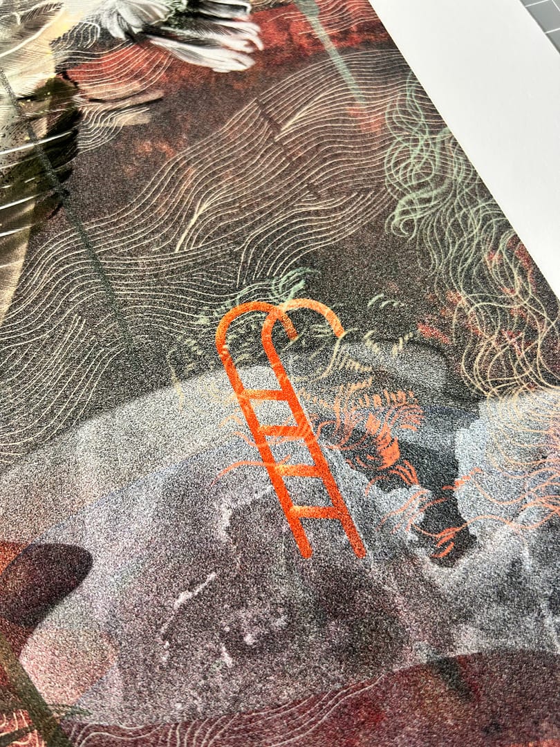 Entangled – Katarzyna Budka, giclee, 2026