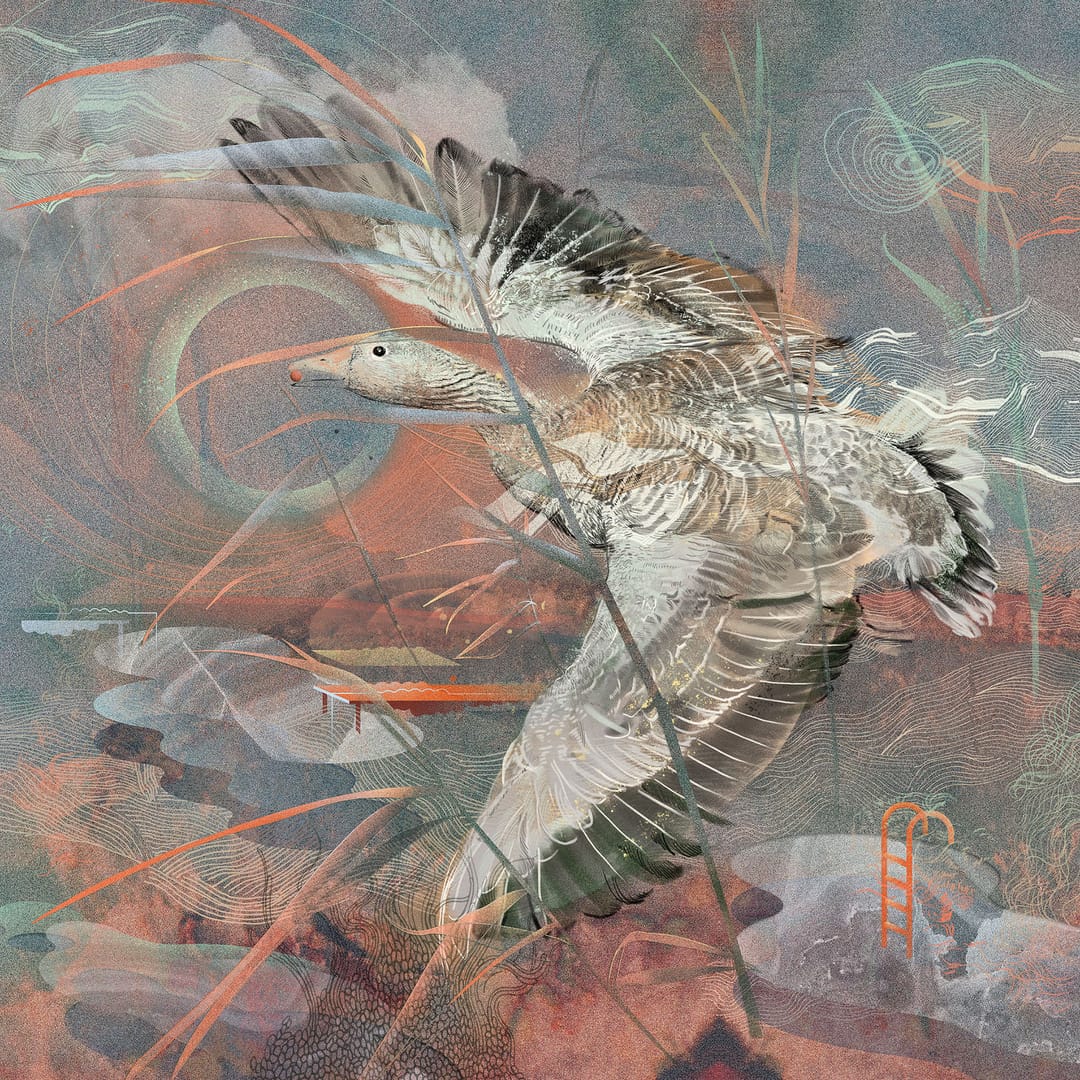 Entangled – Katarzyna Budka, giclee, 2026